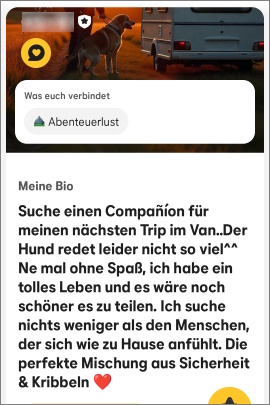 Bumble-Nutzer beschreibt seine Traumfrau im Profiltext