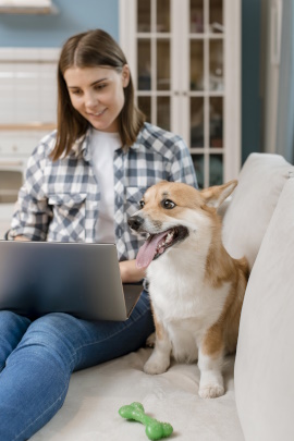 Single-Frau mit Hund und Laptop sitzt lächelnd auf dem Sofa
